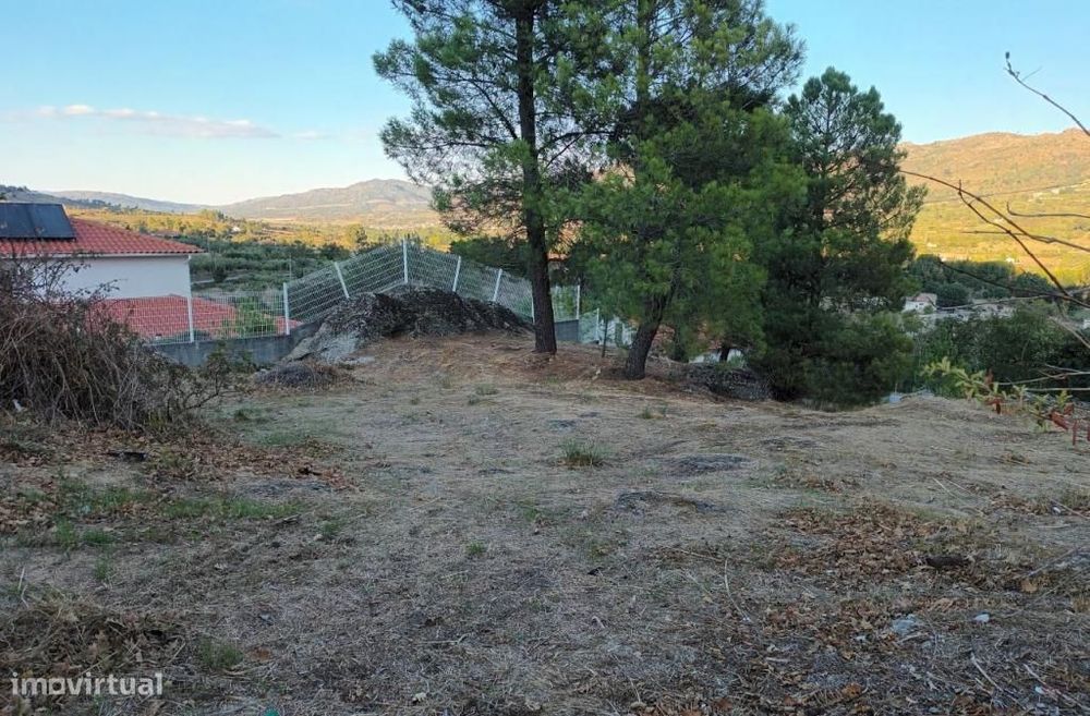 Lote Urbano - Aldeia Viçosa