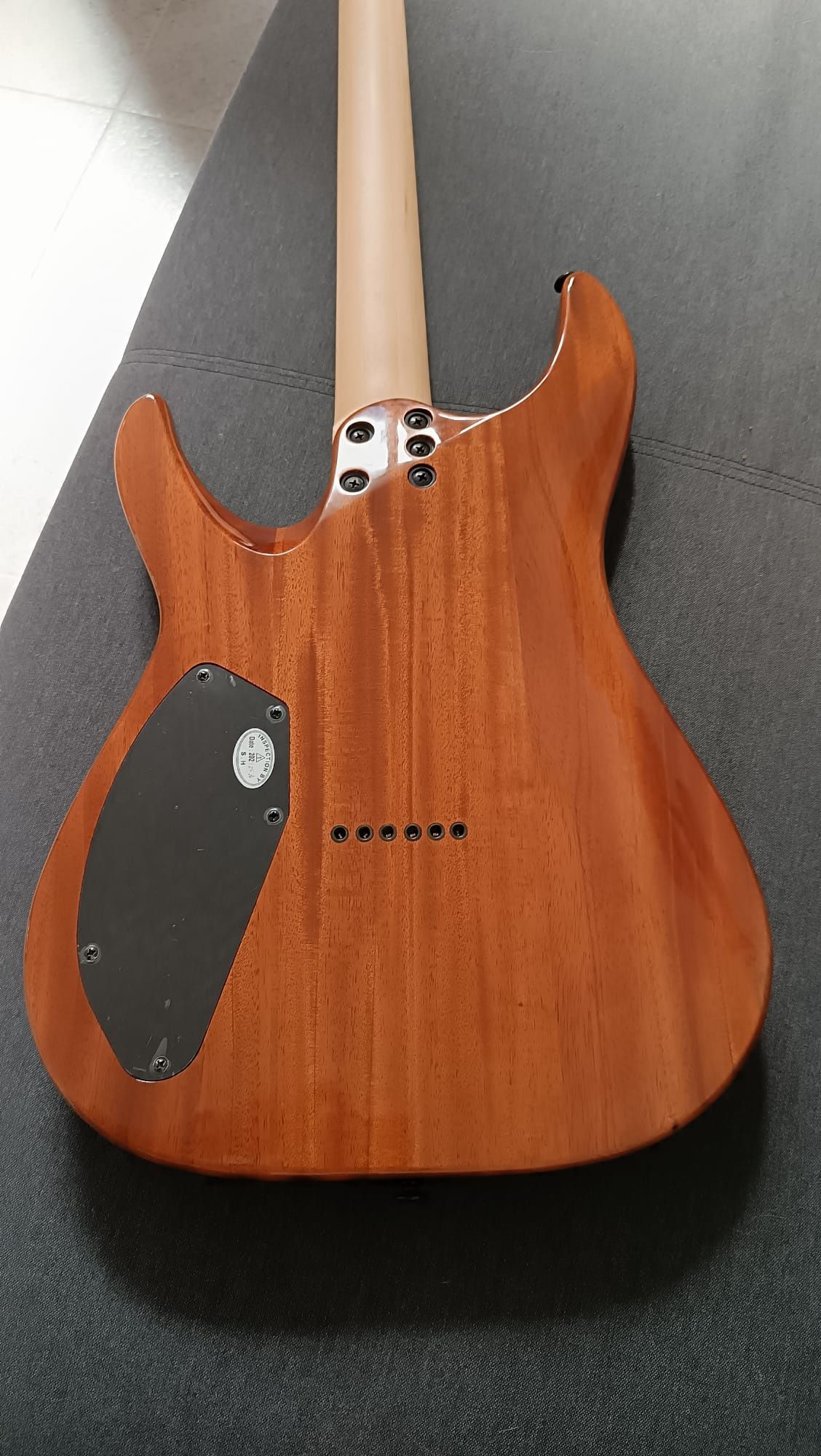 Schecter C6 Pro Aurora Burst