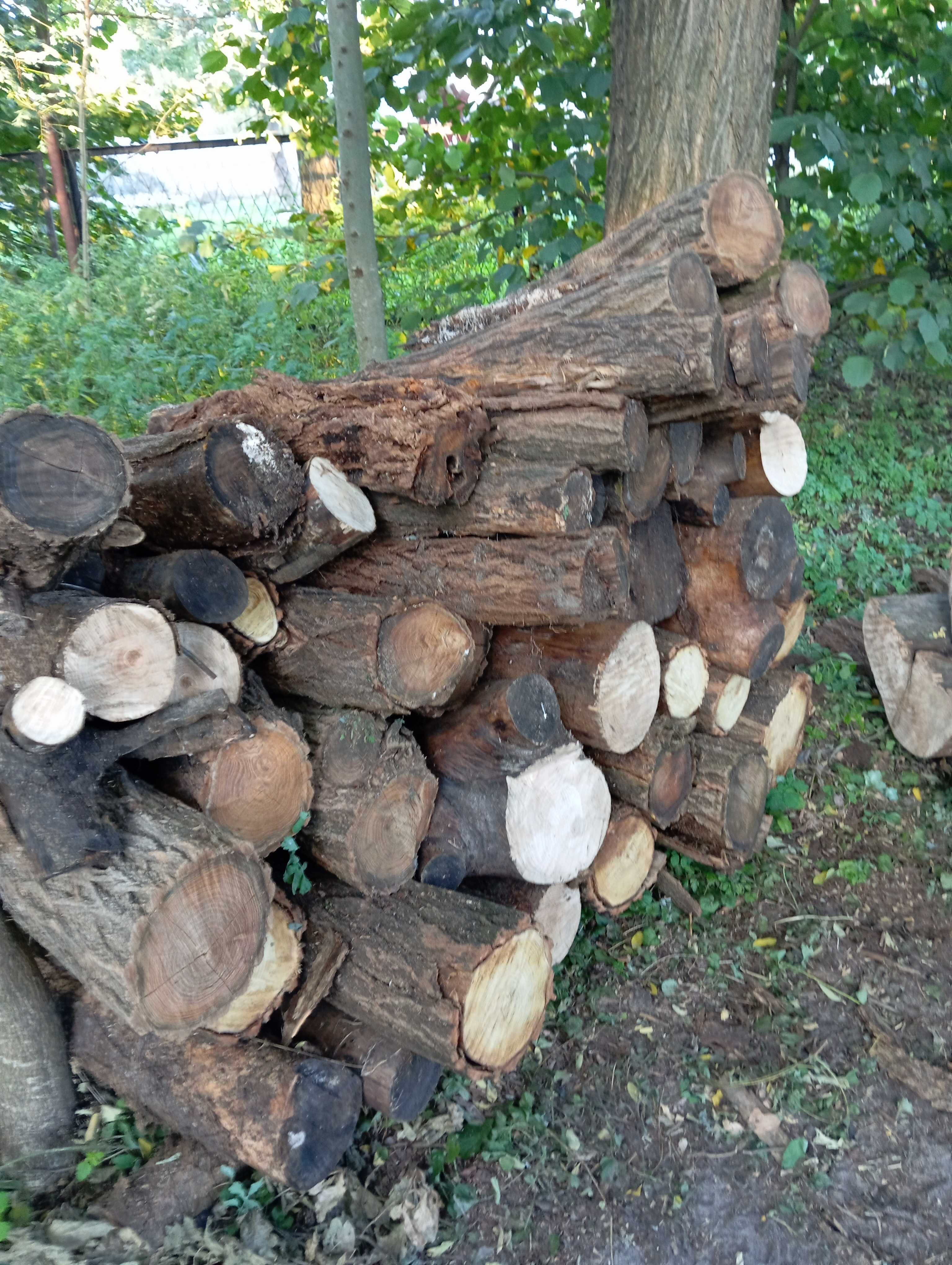 Drewno  - akacja/jesion