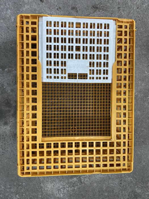 Jaula gaiola transporte aves