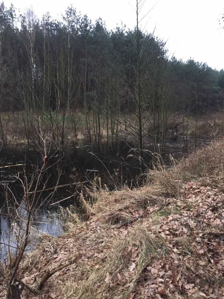 Działka z WZ, Okazja ! Taka cena tylko do końca Maja ! Jeziorko 1 ha !