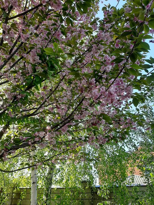 Продам участок на Гагарина, Материк