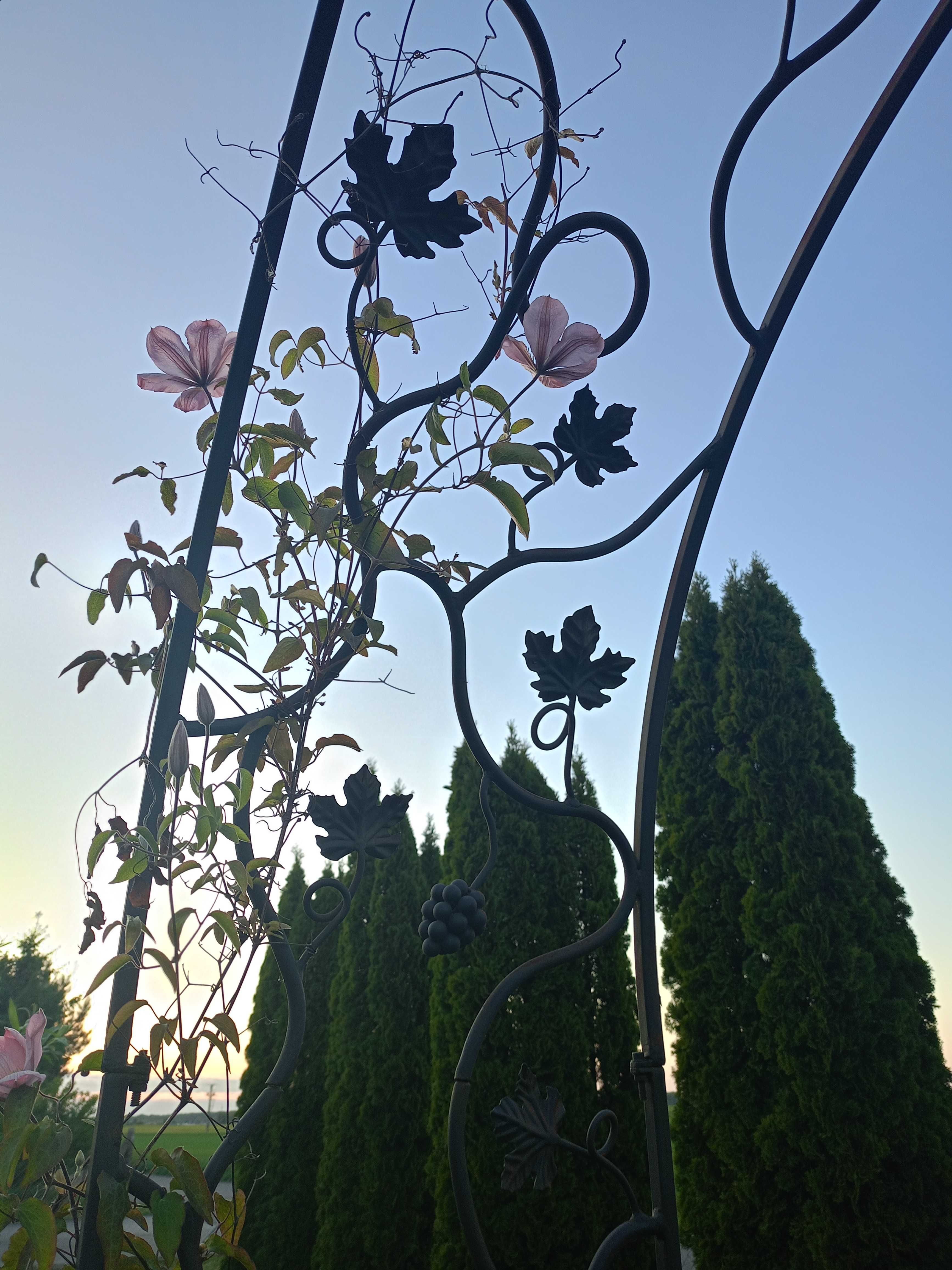 Pergola metalowa kuta do kwiatów