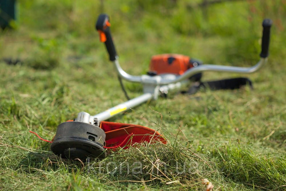 Покос трави, спил дерев, обрізка віток