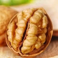 Куплю грецький горіх