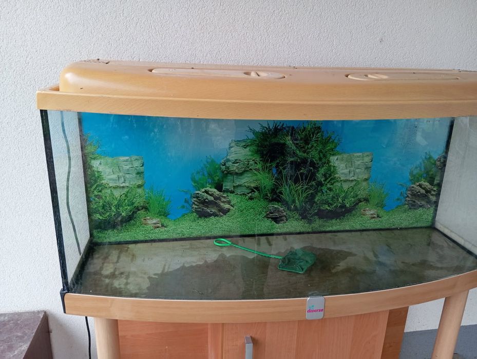 Akwarium z pokrywa 240l