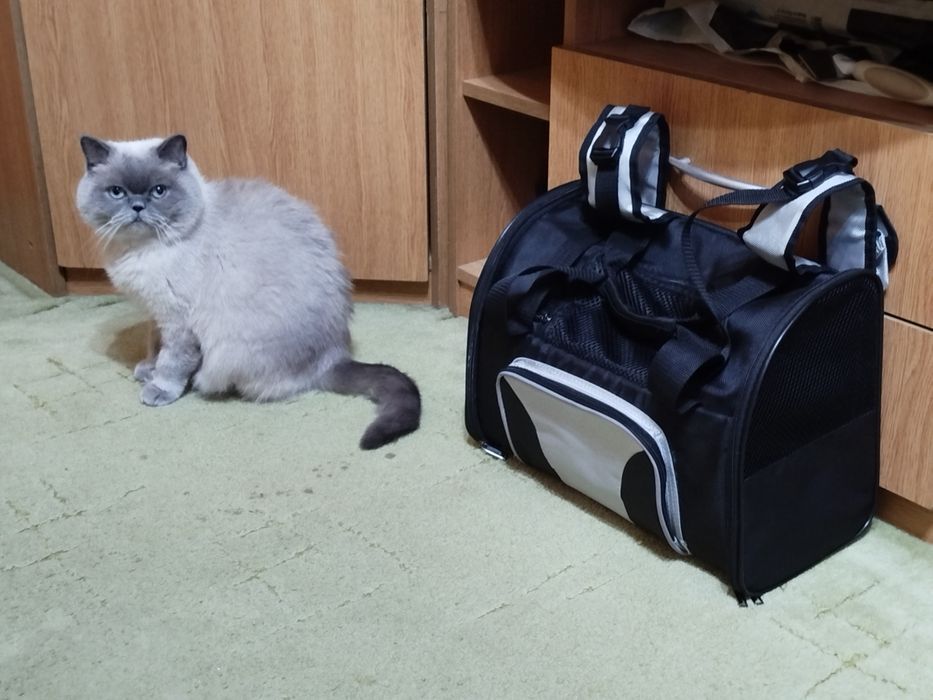 Сумка для животных