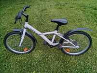 Rower B twin 20"