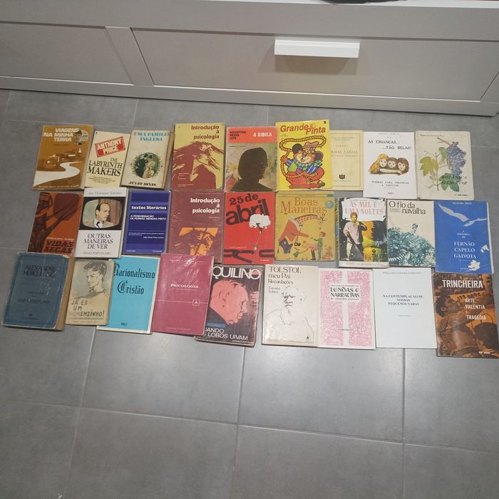 Lote de livros escolares e outros
