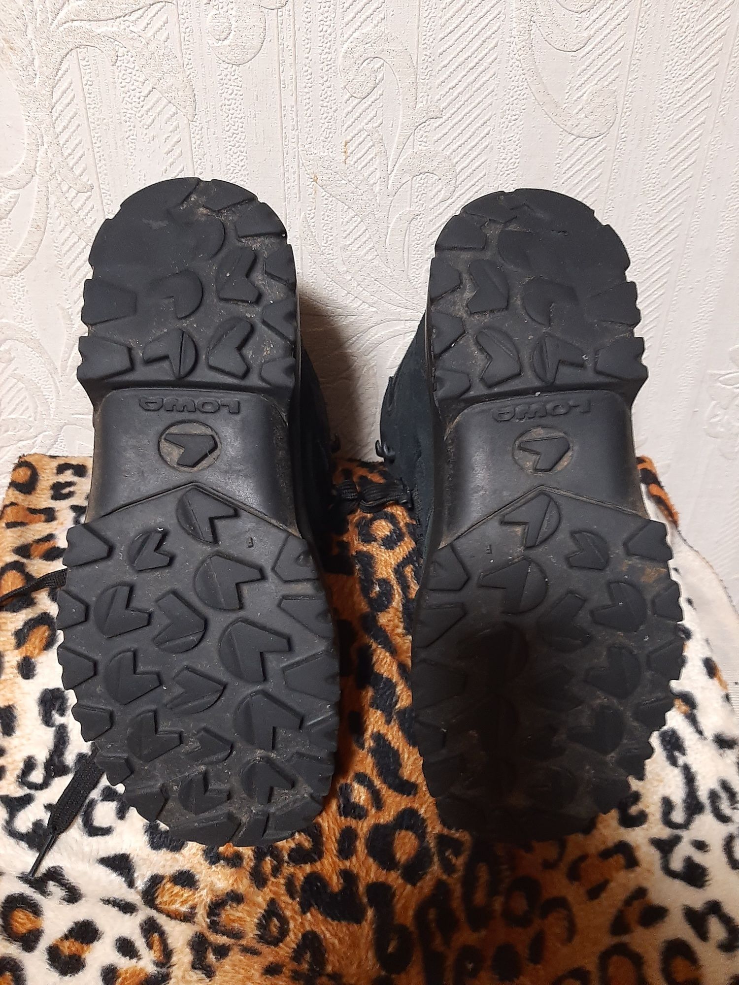 Ботінки LOWA-gore-tex