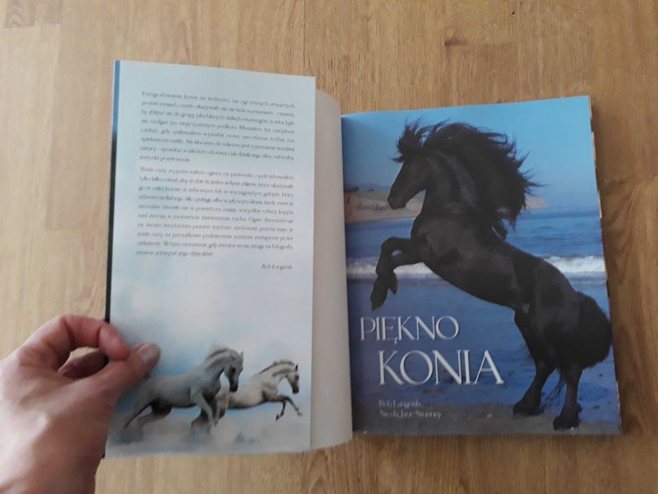 Piękno konia książka-album NOWA