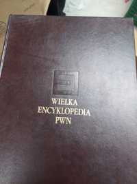 Wielka encyklopedia PWN 31 tomów