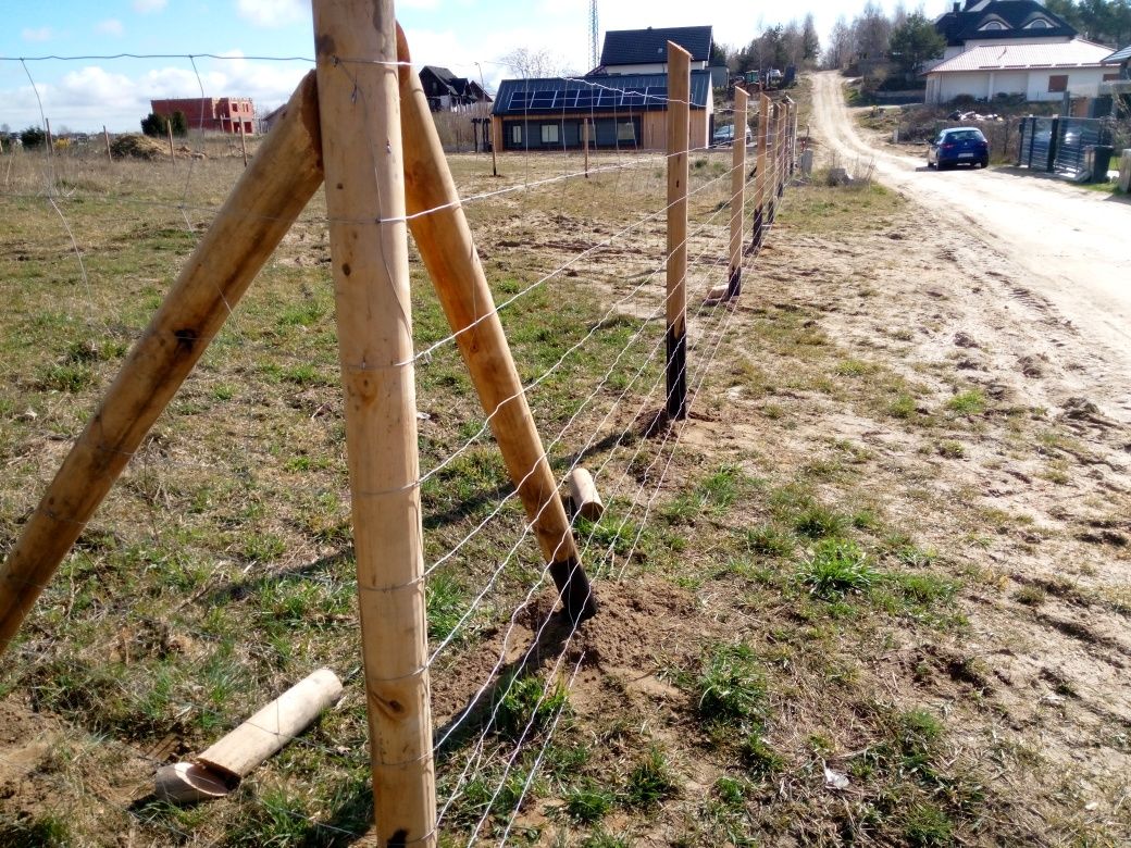 Ogrodzenie Tymczasowe  Pruszcz gdański siatka leśna już 17 zl. za mb