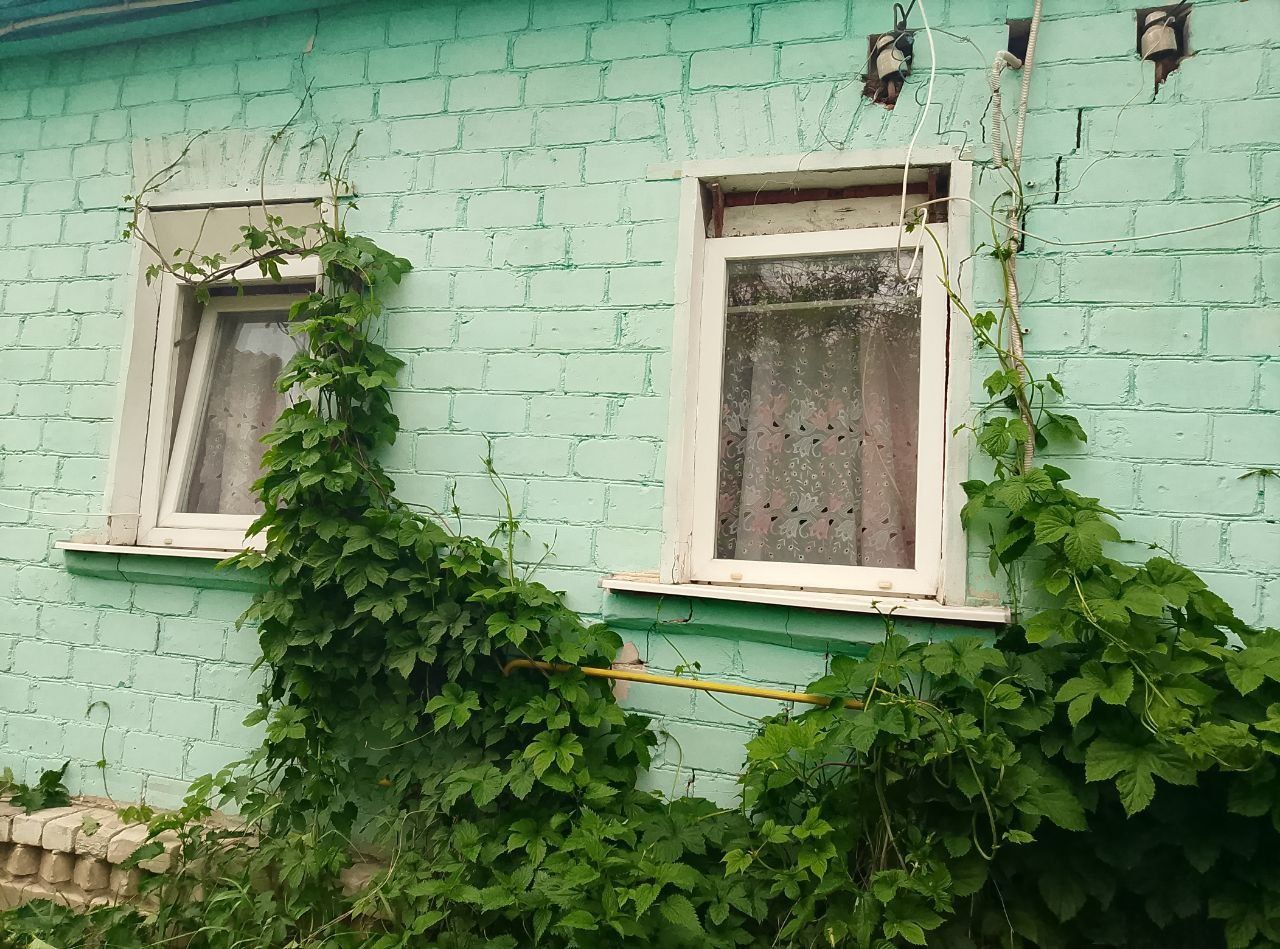 Продам будинок в селі