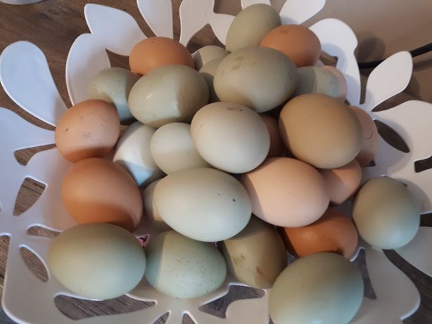 Wiejskie jaja od kur, mieszane zwykle i od zielononóżek