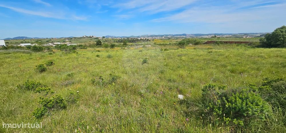 Terreno  para arrendamento