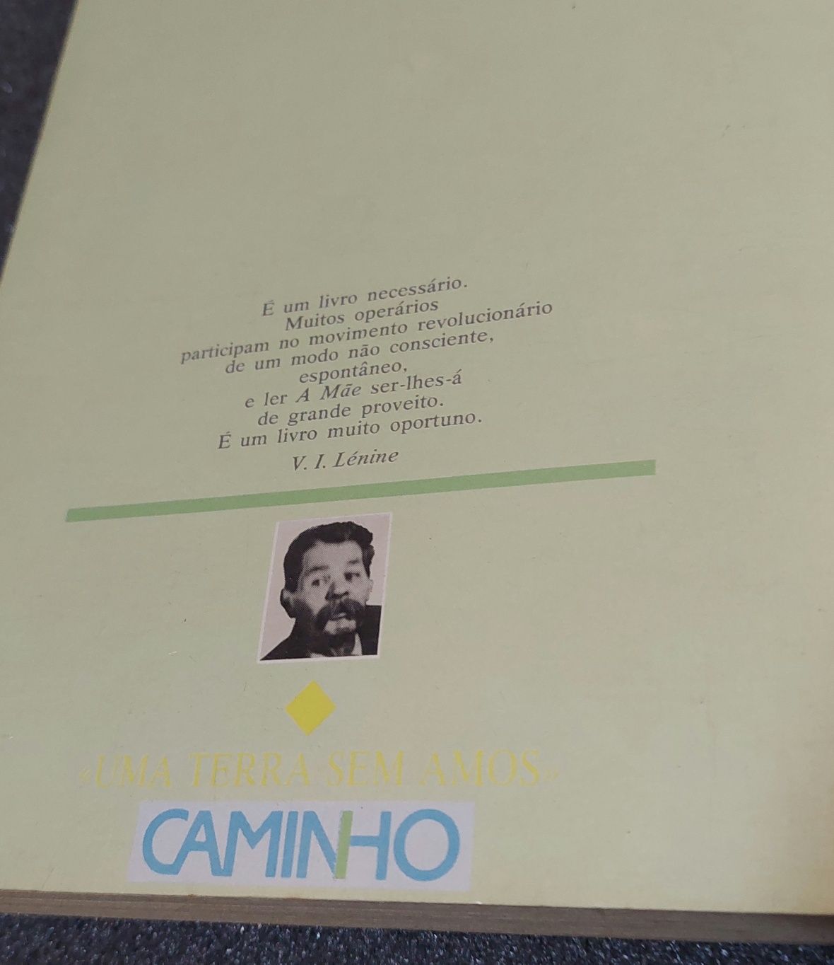 A mãe     Uma terrasem amos