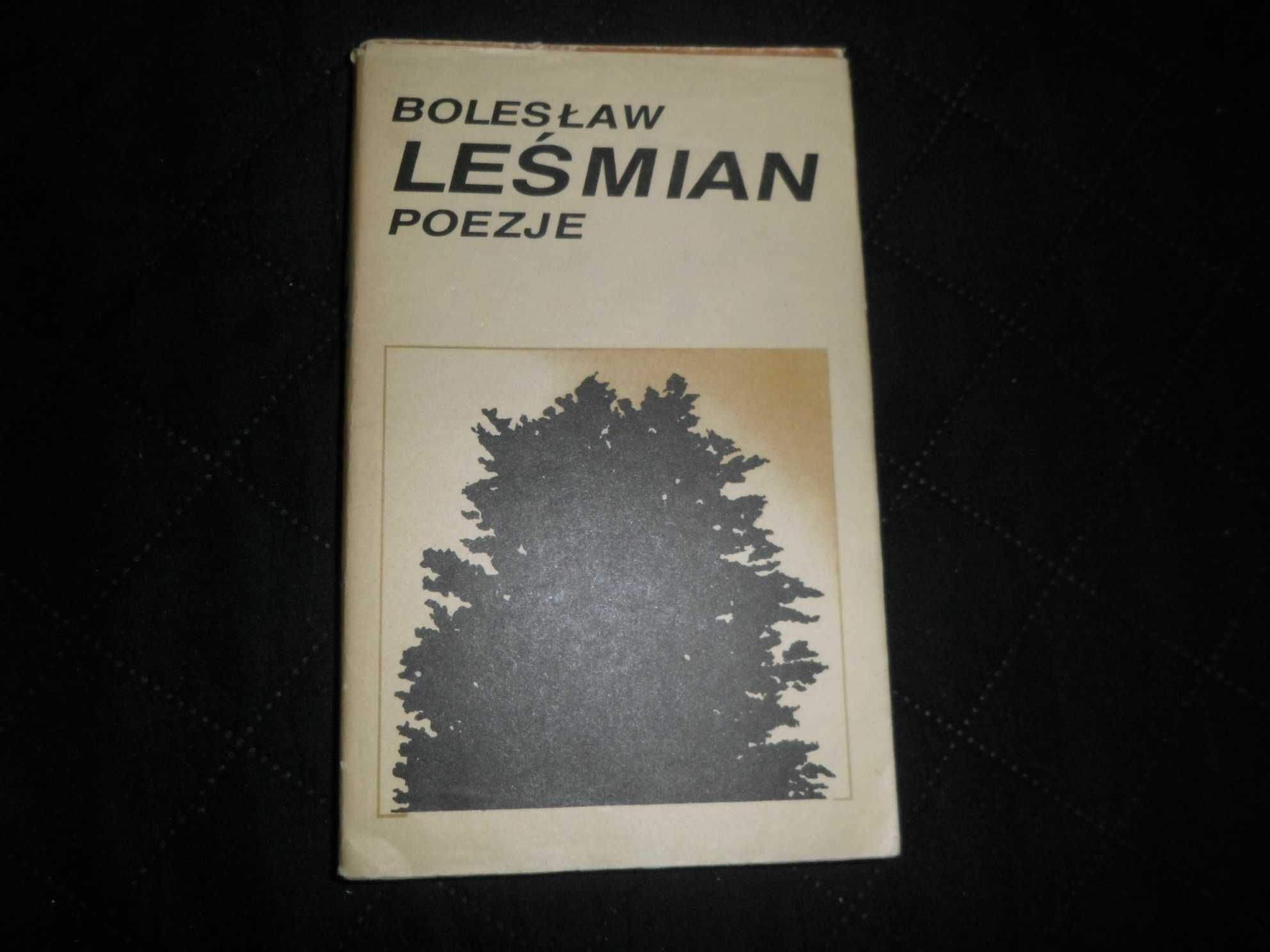 Bolesław Leśmian - Poezje