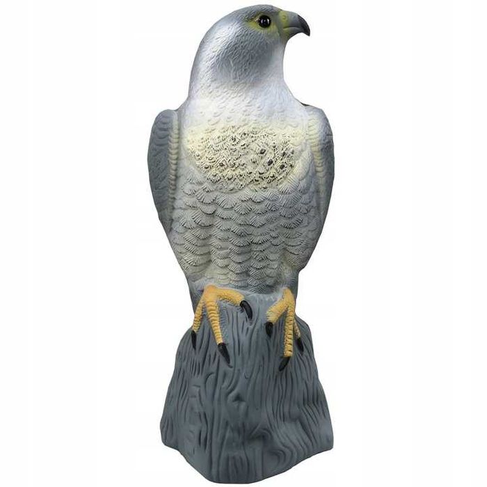 Duży odstraszacz ptaków gołebi szpaków sokół na skale błyszczące oczy