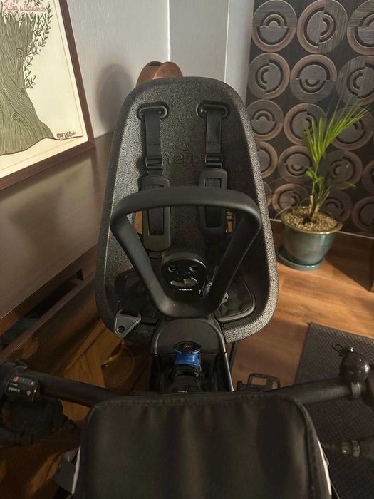 Cadeirinha de Bicicleta Thule Yepp Nexxt Mini (Até 15 kg)