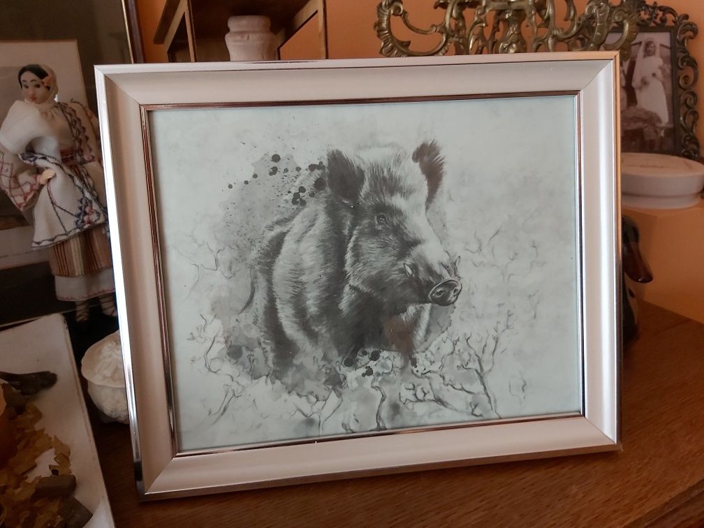 Dzik odyniec wycinek przelatek grafika myśliwska łowiecka polowanie.