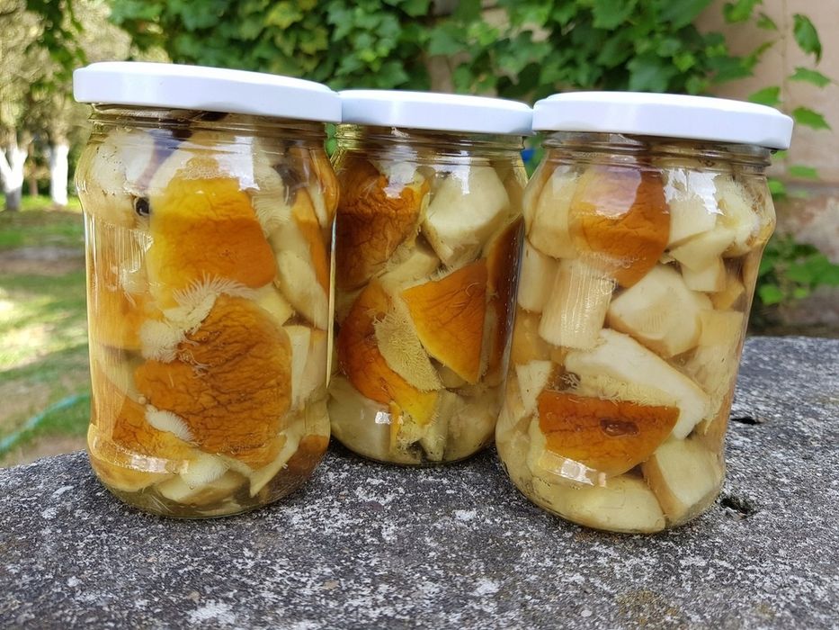 20x315ml borowiki marynowane grzyby marynowane