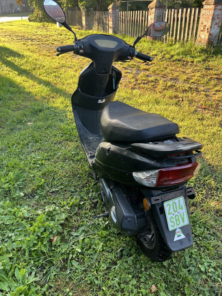 YIYING YY50Qt Rex 50