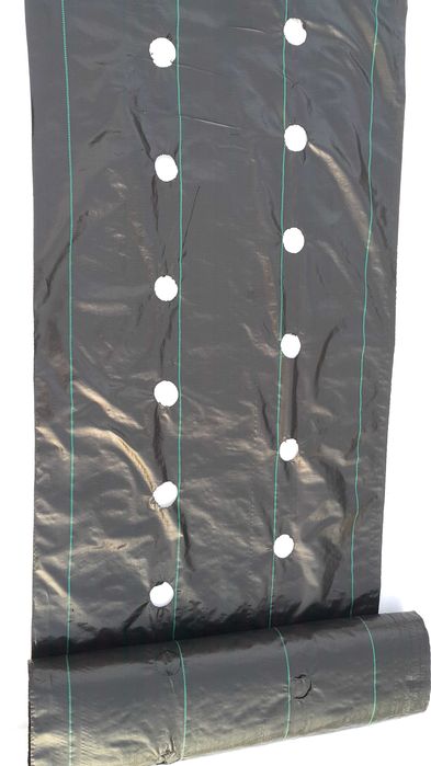 50m x 110cm Agrotkanina na chwasty OTWORAMI pod TRUSKAWKI ogórki itp