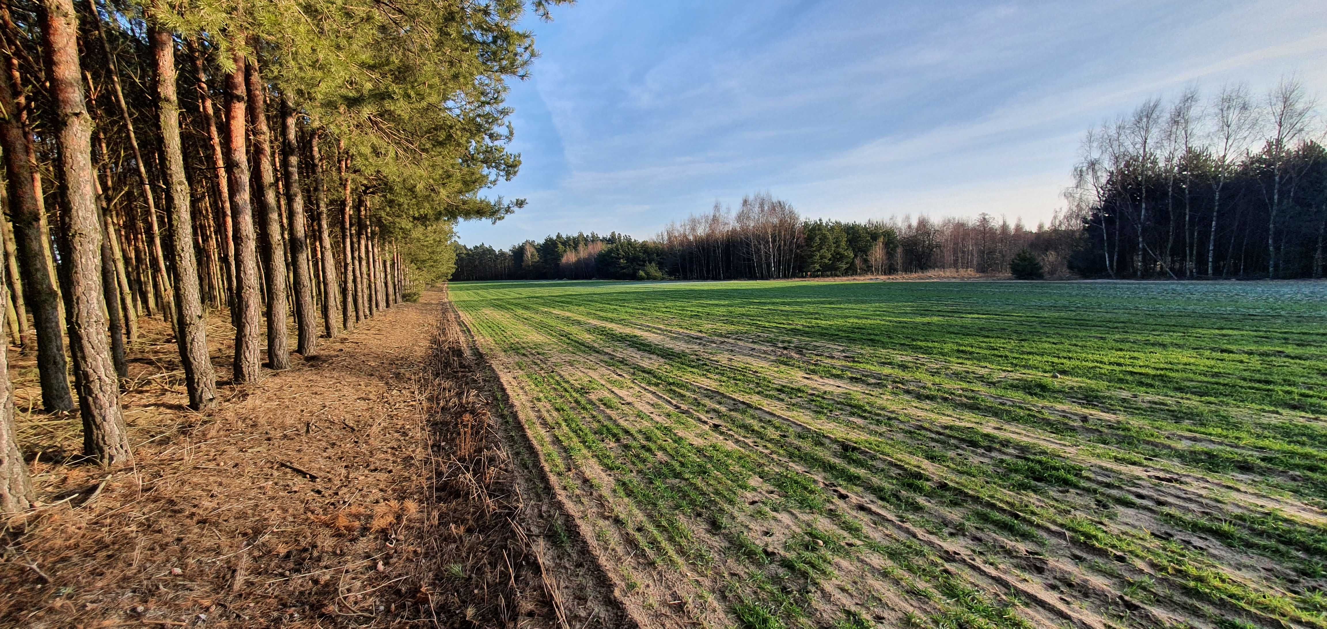 Działka budowlana Cicha i spokojna okolica Działki budowlane