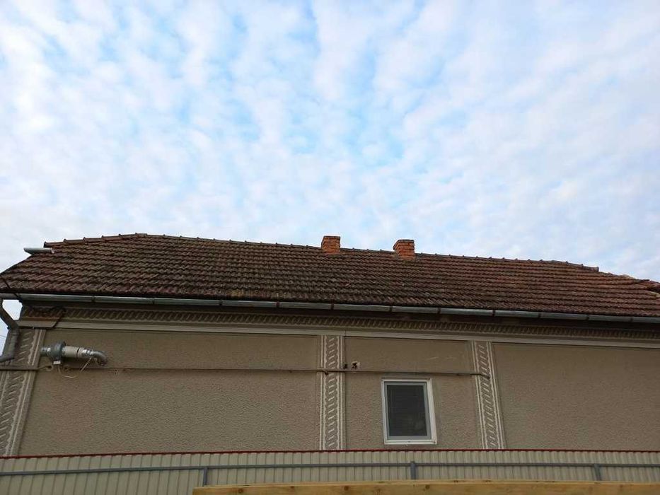 Продається черепиця і гусаки!!!