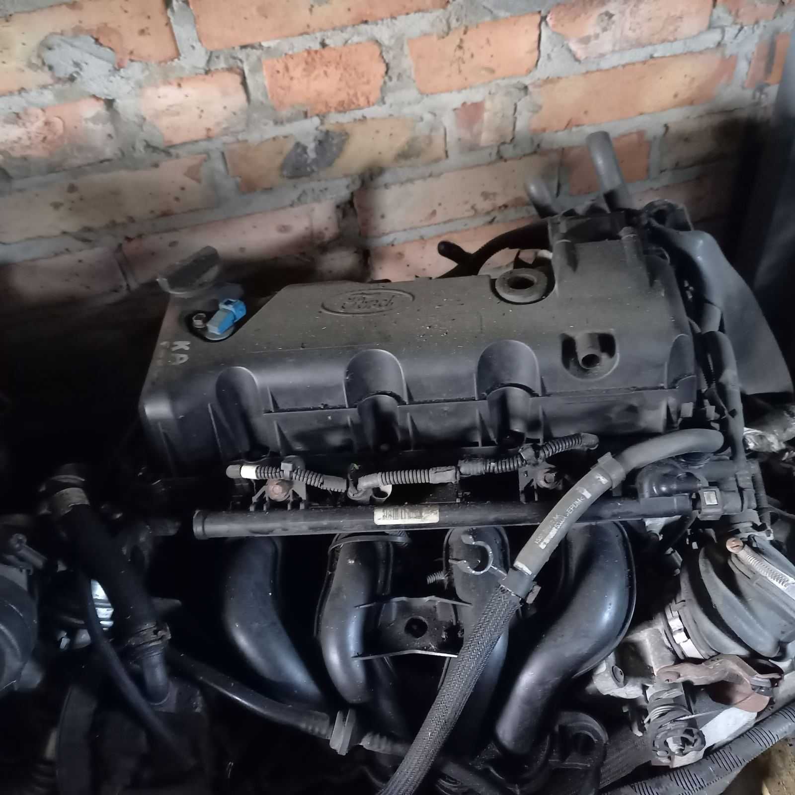 Двигатель мотор Ford Ka  2004 1.3 бензин