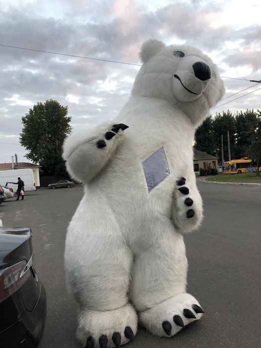 Заказ Белого медведя, шоу ,мишка на праздник поздравление аниматоры,ю