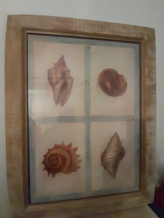 Quadro com moldura e vidro frutos mar