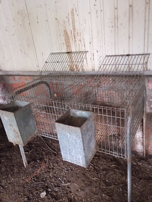 Coelheira 2 compartimentos