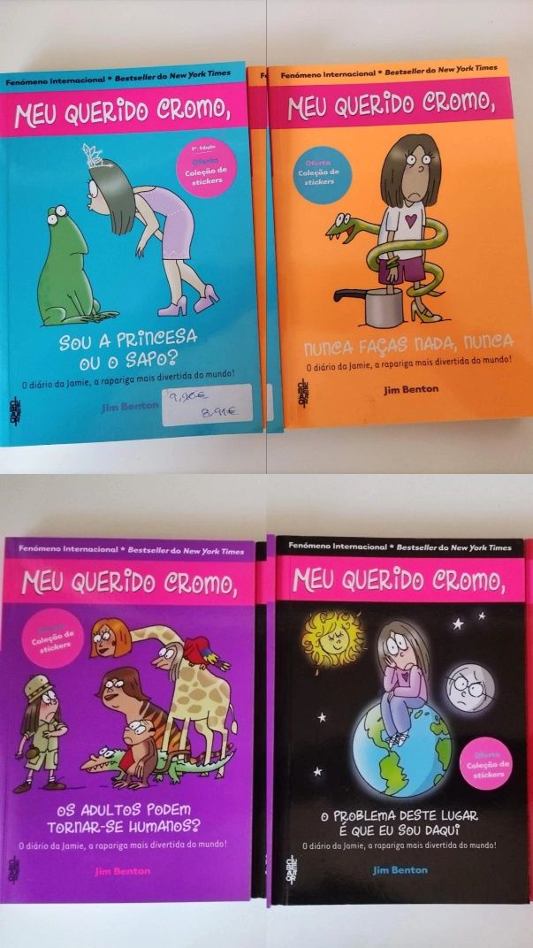 Lote de Livros Infantis e Juvenis