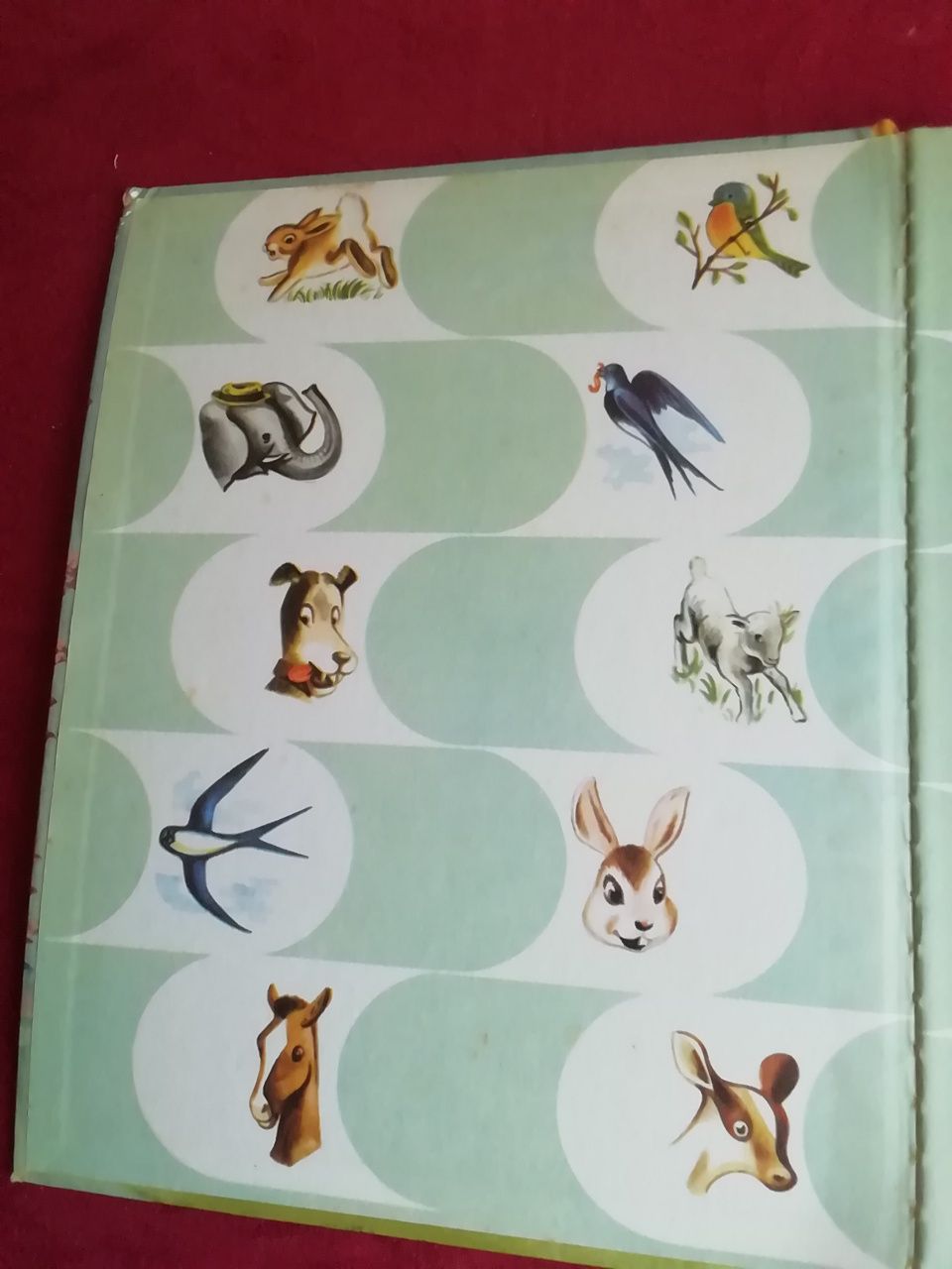 A cabrinha Turbulenta da Verbo Infantil