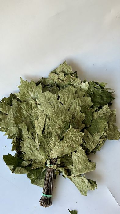 Witki do Sauny, Witkowanie w Saunie, Wenik Bania,