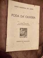 PODA DA OLIVEIRA - por MIRA GALVÃO