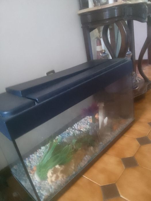 Vendo aquário como novo