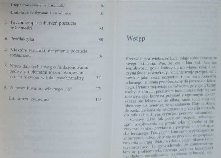 Psychoanaliza i ja Kliniczna problematyka poczucia tożsamości Sokolik