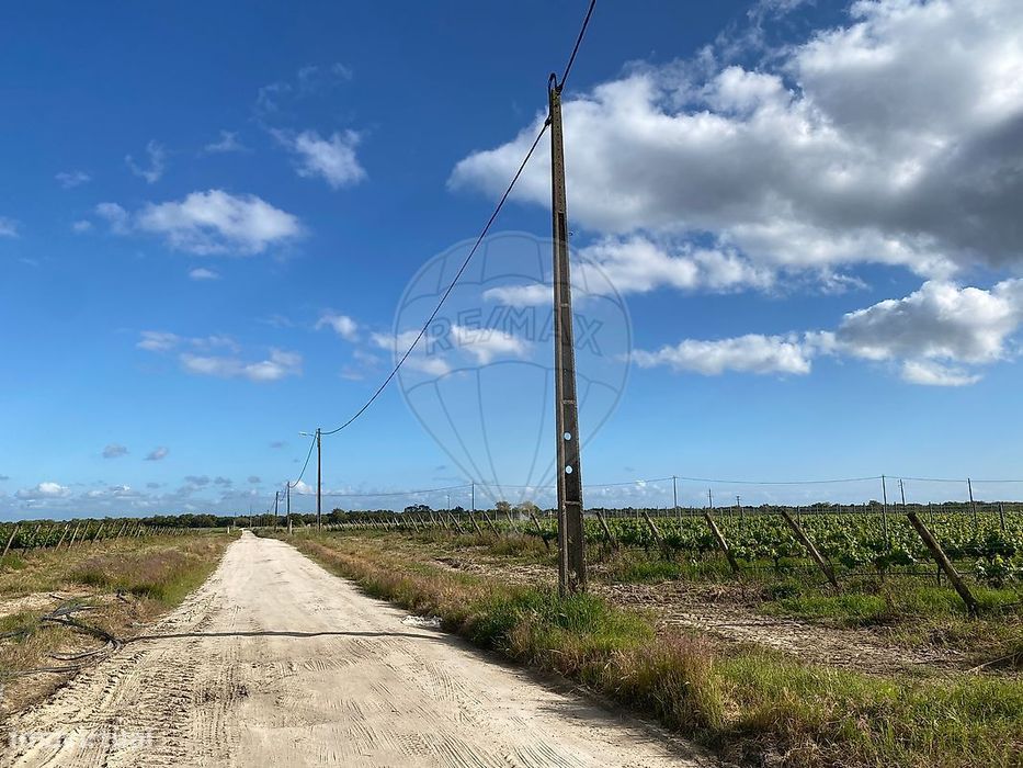 Terreno  para venda