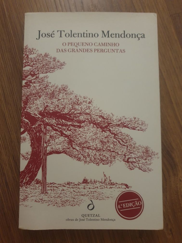 Livro José Tolentino de Mendonça
