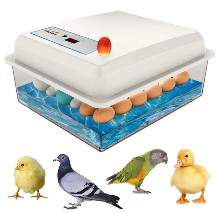 Інкубатор для яіць