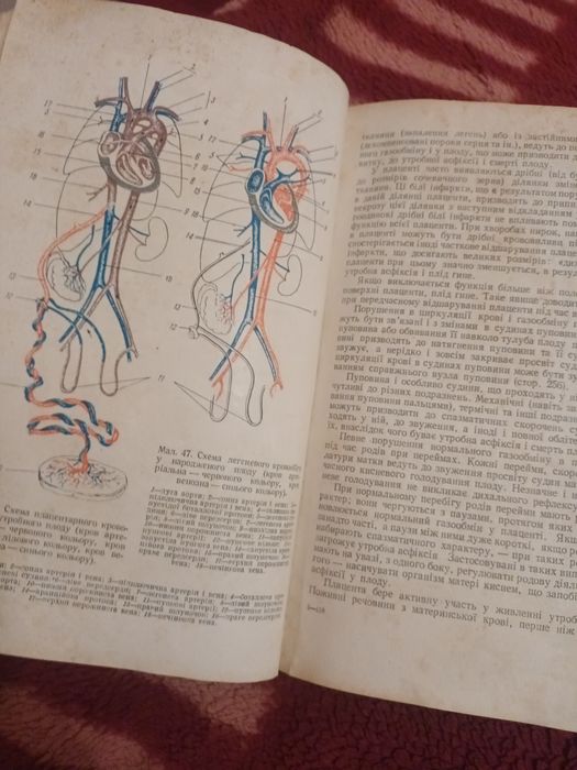 Книга медична 1951 р.