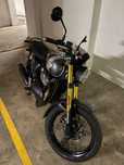 Royal Enfield Bear 650