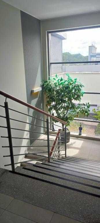 Dwa pokoje blisko GUMED / Two rooms near GUMED | Gdańsk Aniołki Focha