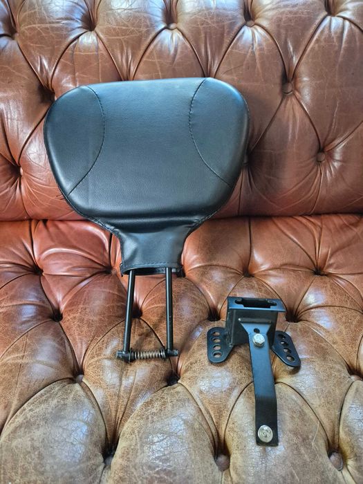 Harley Davidson encosto para condutor touring Electra Road Glide King