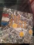 The Stone Roses vinyl
