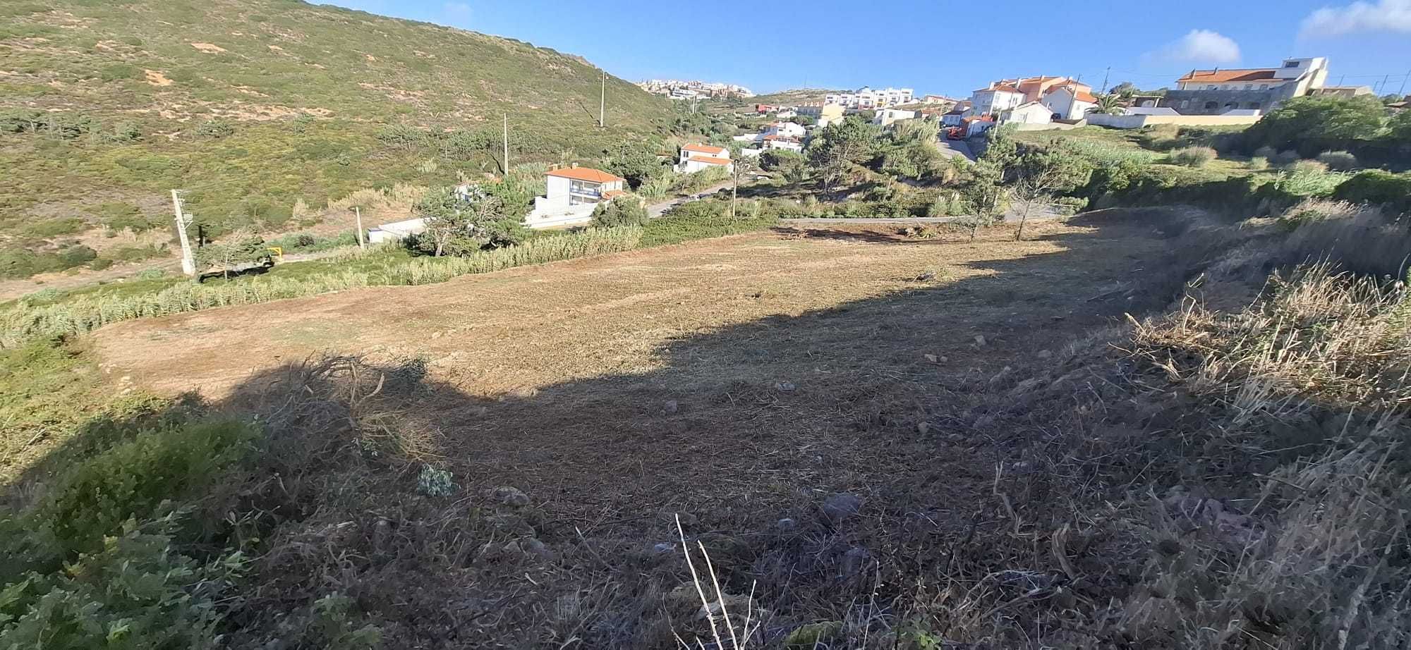 limpeza de terrenos