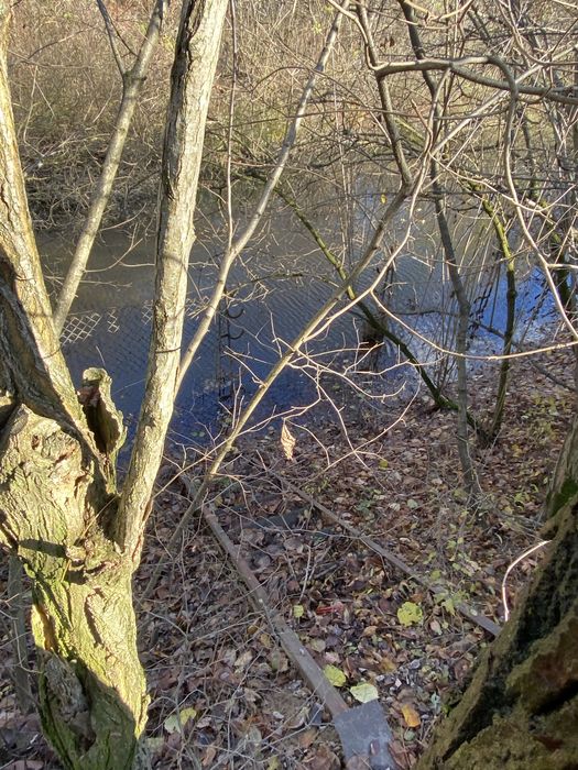 Продам будинок у передмісті Берегова